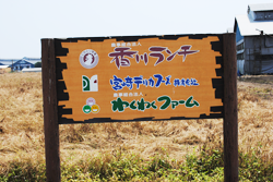 香川ランチ写真1